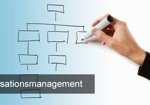 Titelbild_Organisationsmanagement