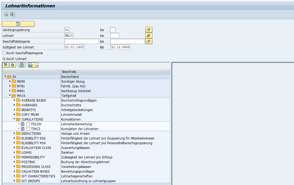 Neuer Report zur Anzeige von SAP-HCM-Lohnarten-Customizing