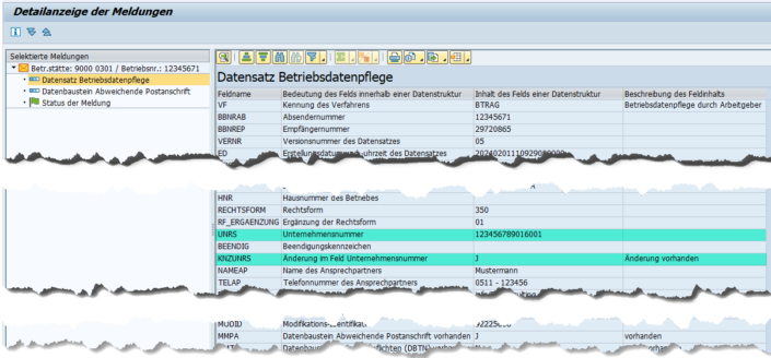 DEÜV-Betriebsdatenpflege Ab 01.01.2024 In SAP HCM - Teil 2